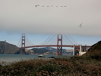 Mga nad Golden Gate