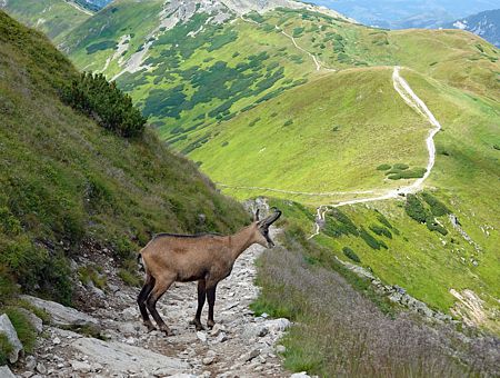 Tatry Zachodnie